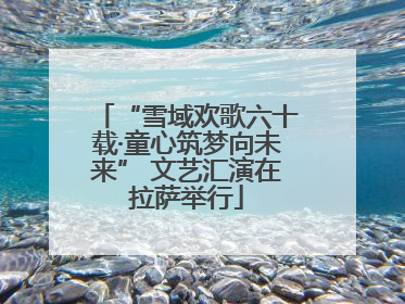 “雪域欢歌六十载·童心筑梦向未来” 文艺汇演在拉萨举行